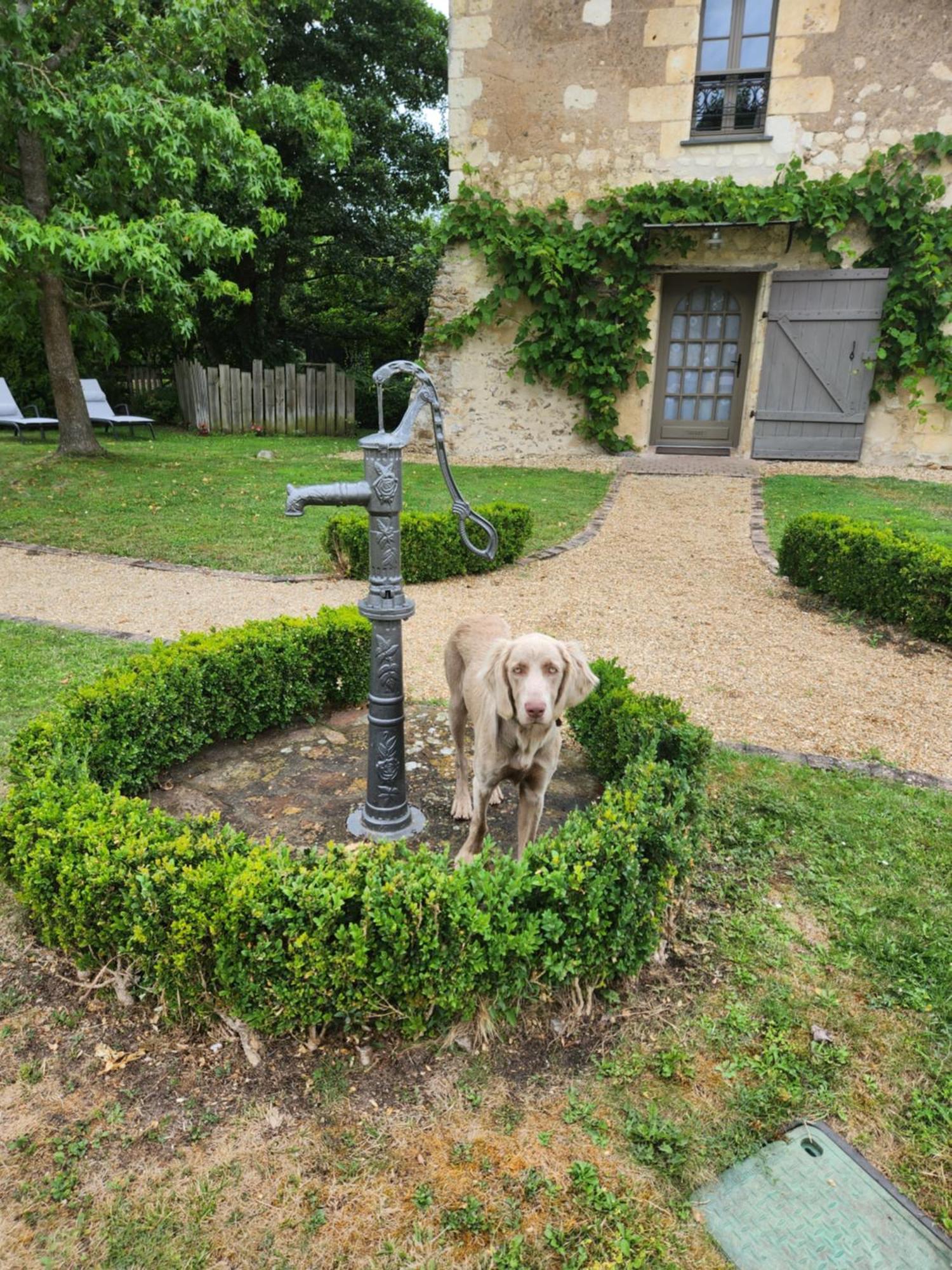 La Tour Du Grand Boust Villa Longué Buitenkant foto